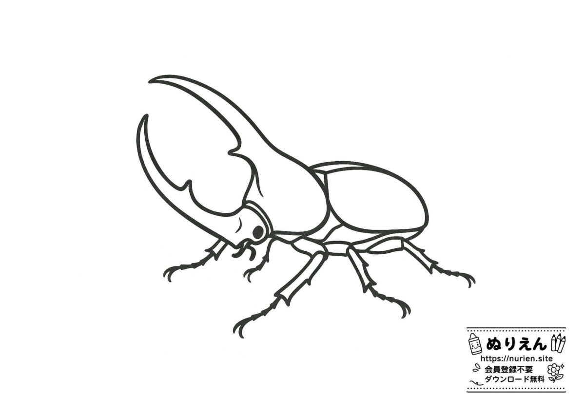 ヘラクレスオオカブトのリアルな姿を描いた夏の昆虫ぬりえ素材。自由研究や昆虫好きの子ども向け。
