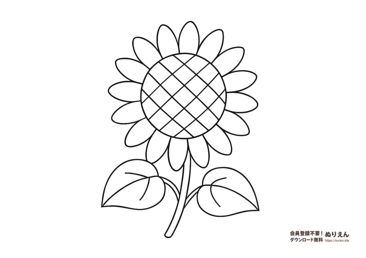 夏の花・ひまわりの無料ぬりえ｜子ども向けシンプル線画イラスト素材