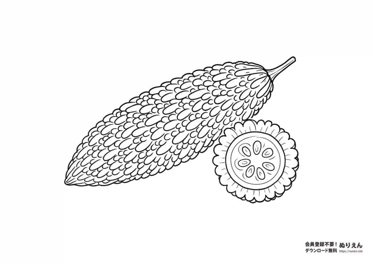 夏野菜のゴーヤ（にがうり）のぬりえ。細かな凸凹の表面と断面が描かれ、家庭菜園や食育にもぴったりのイラスト。