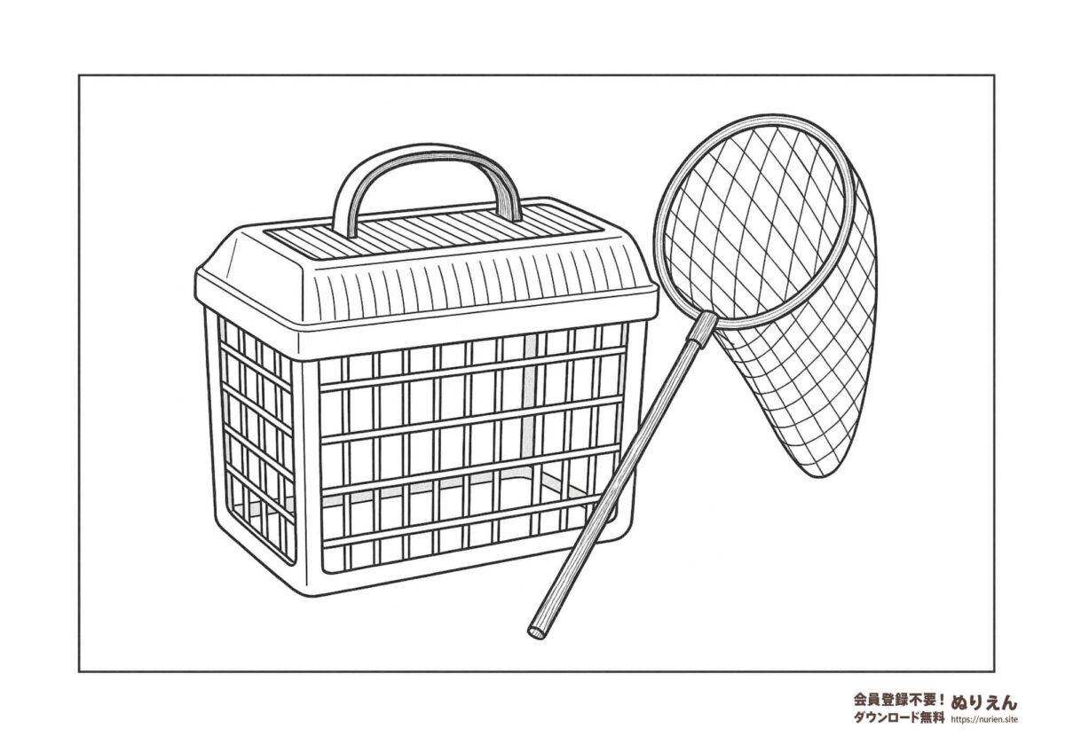 虫取り網と虫かごのぬりえ|夏の自然体験をテーマにした無料塗り絵