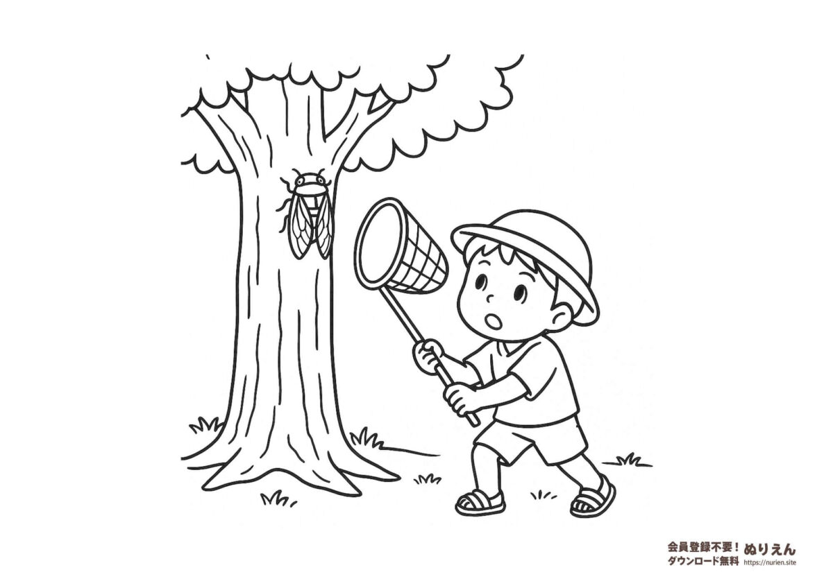 夏の自然遊びを楽しむ男の子がセミを捕まえようとしているぬりえ|昆虫採集や夏休みの自由研究にもぴったりな無料塗り絵素材