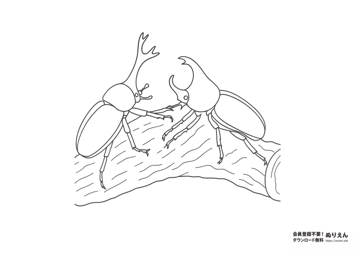 2匹のカブトムシが木の上で向かい合う姿を描いたぬりえ。対決シーンが楽しめる構図で、子どもから大人、高齢者まで幅広く楽しめます。