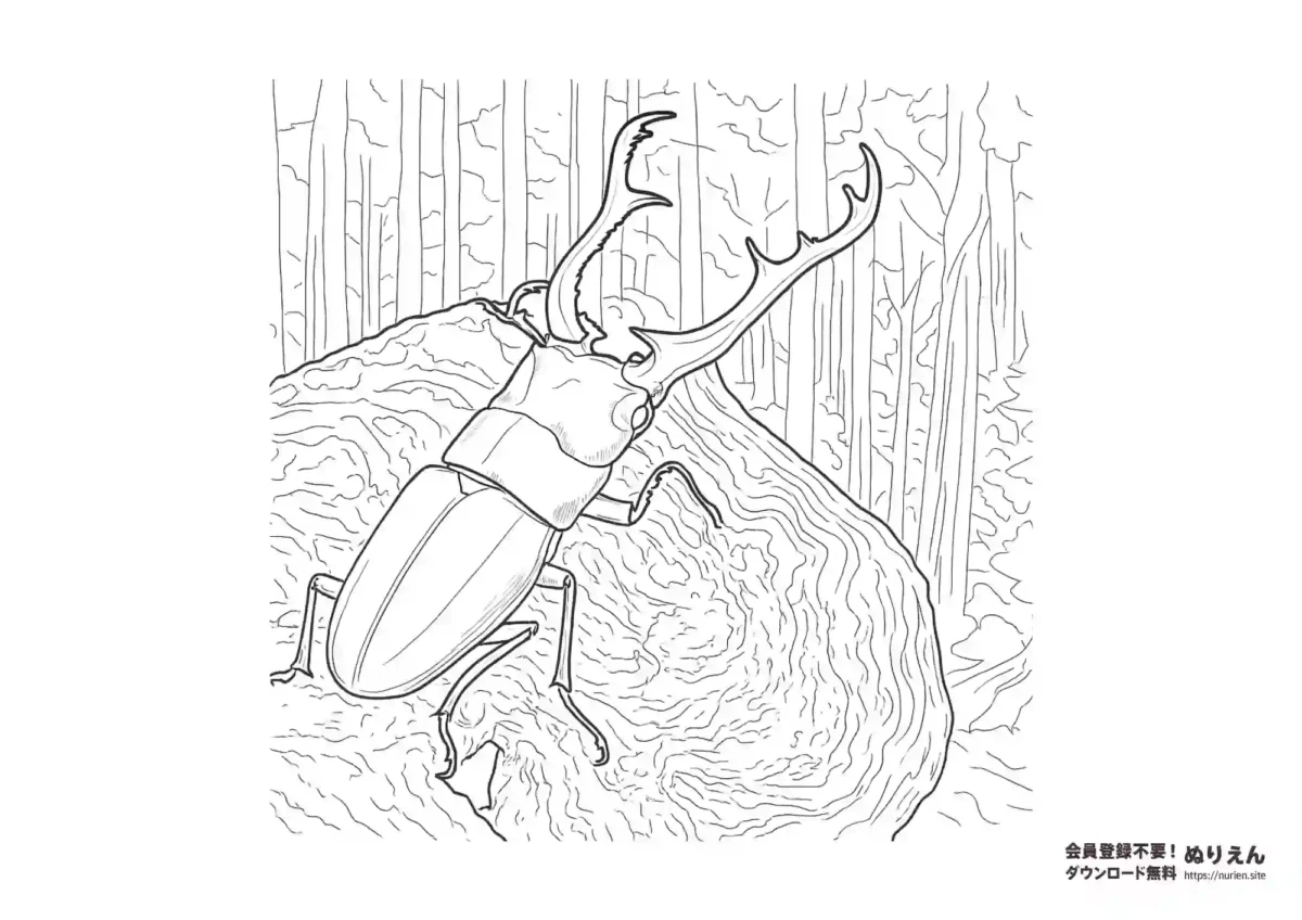森の中の木にとまっているクワガタムシのぬりえ。リアルな描写で昆虫観察や夏の自由研究にも最適な線画。