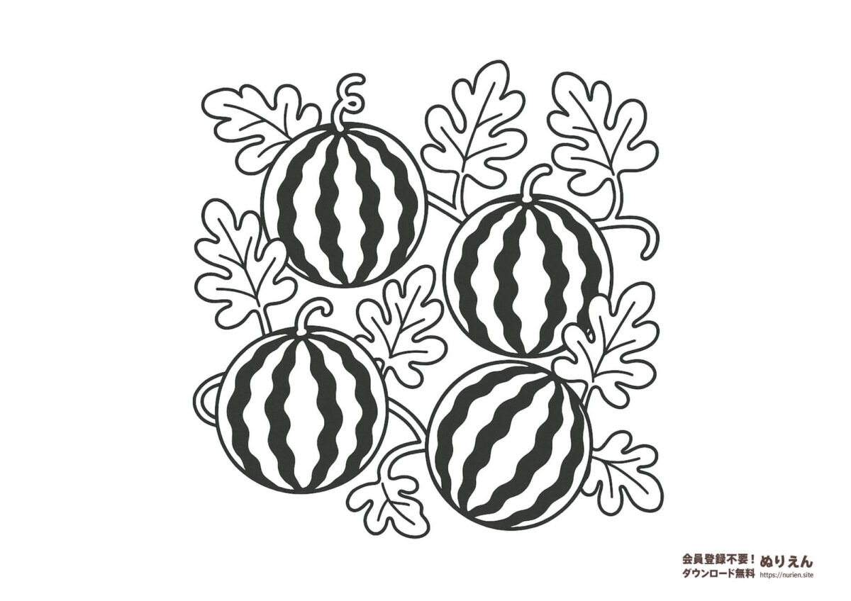 畑にたくさん実ったスイカを描いた夏野菜のぬりえ｜家庭菜園や夏の自然学習にぴったりな無料塗り絵素材