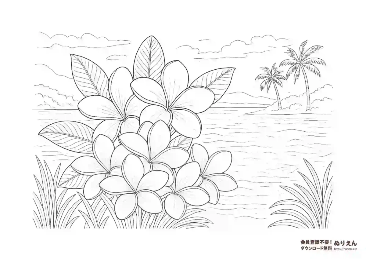 プルメリアの花と南国の海辺の風景を描いた大人向けぬりえ。ヤシの木と波がリゾート感を演出する繊細な線画。