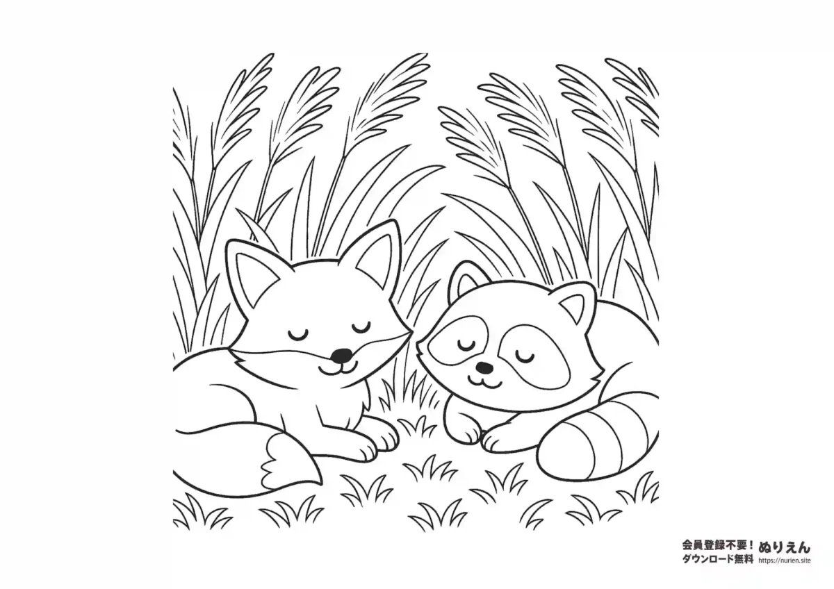 ススキの原っぱで寄り添って眠るキツネとタヌキが描かれた秋の無料ぬりえ。

