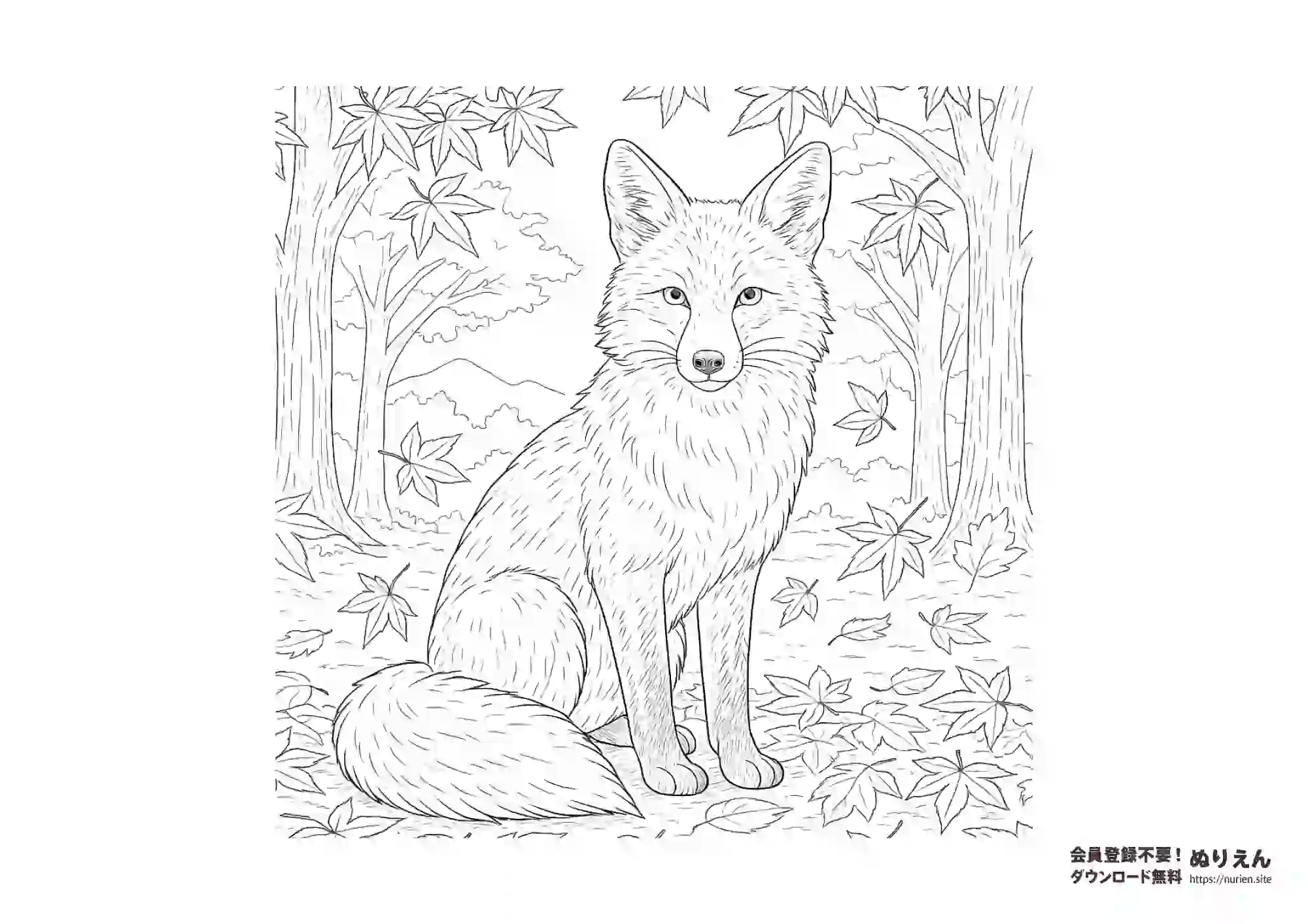 紅葉の森にいるキツネの無料ぬりえ｜秋の動物塗り絵素材