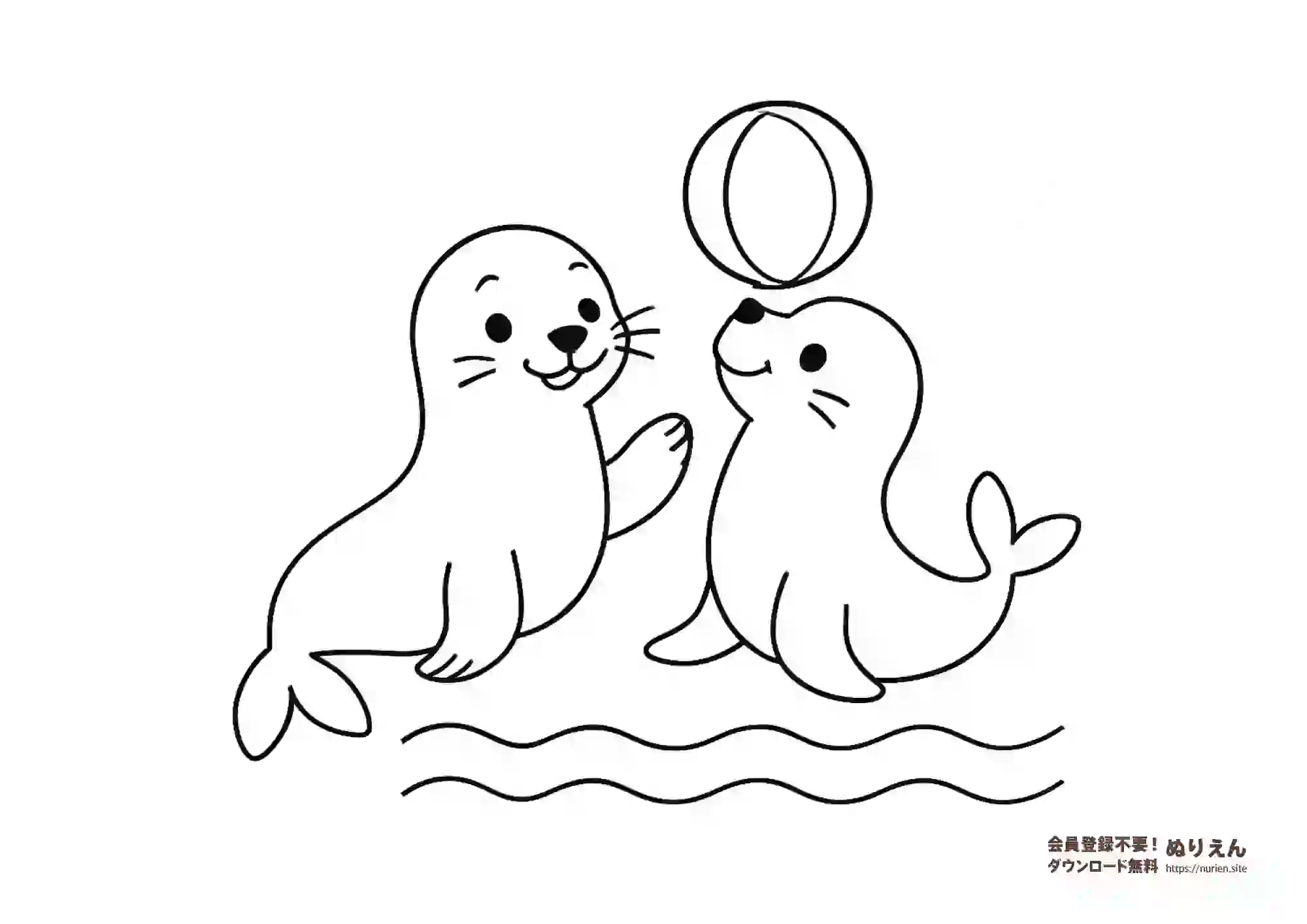 アザラシのぬりえ｜かわいい海の動物の無料塗り絵