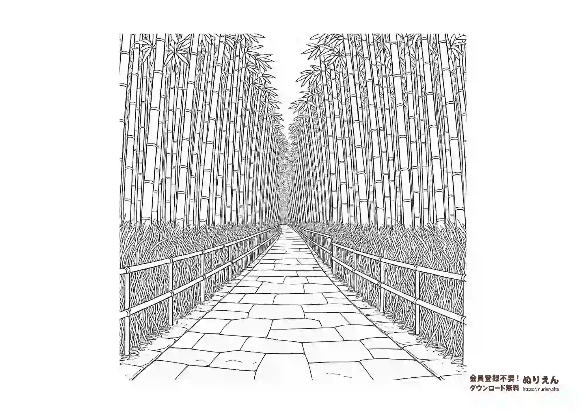 竹林の小径を描いた無料ぬりえ｜京都の嵐山を思わせる幻想的な竹林