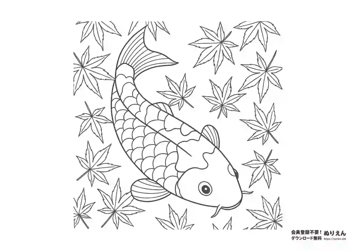 鯉と紅葉のぬりえ 和柄 秋のイラスト
