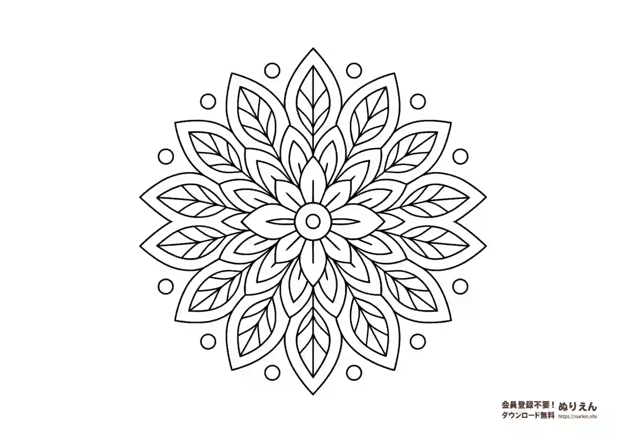 花と葉をモチーフにした中級向け曼荼羅ぬりえ｜少し細かい模様