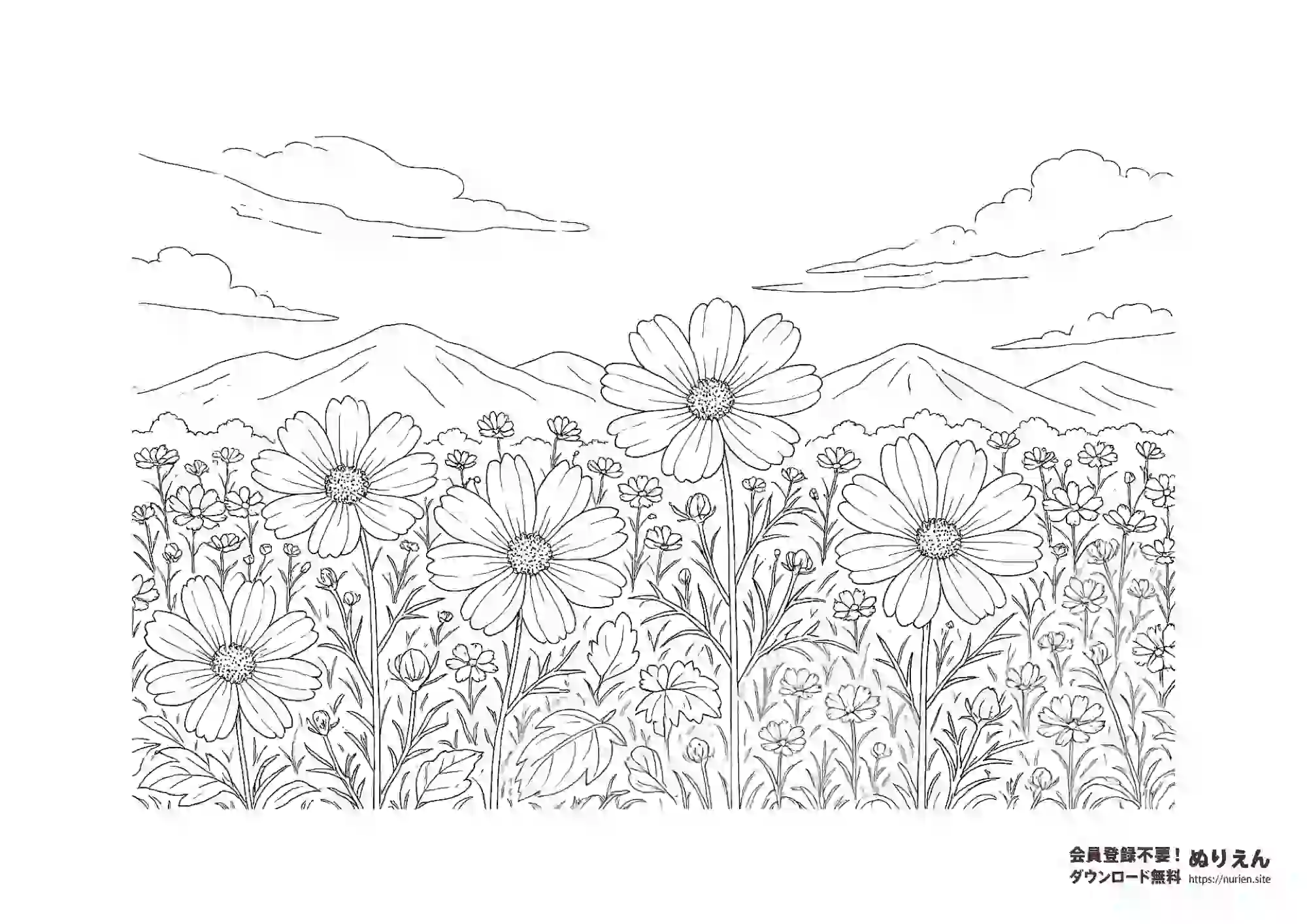 山とコスモス畑の無料ぬりえ｜秋の花と風景の塗り絵素材