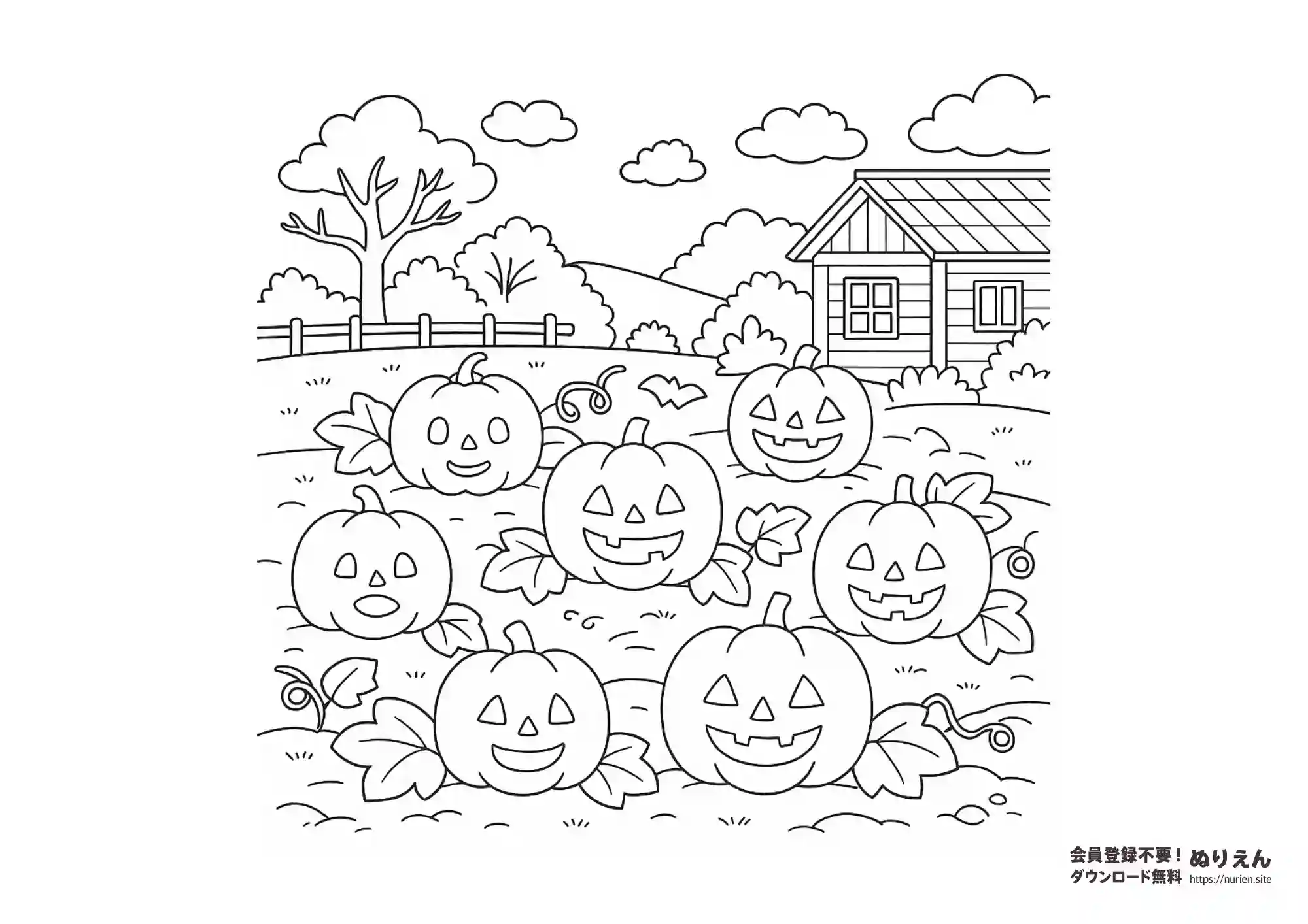 halloween-pumpkin-field-