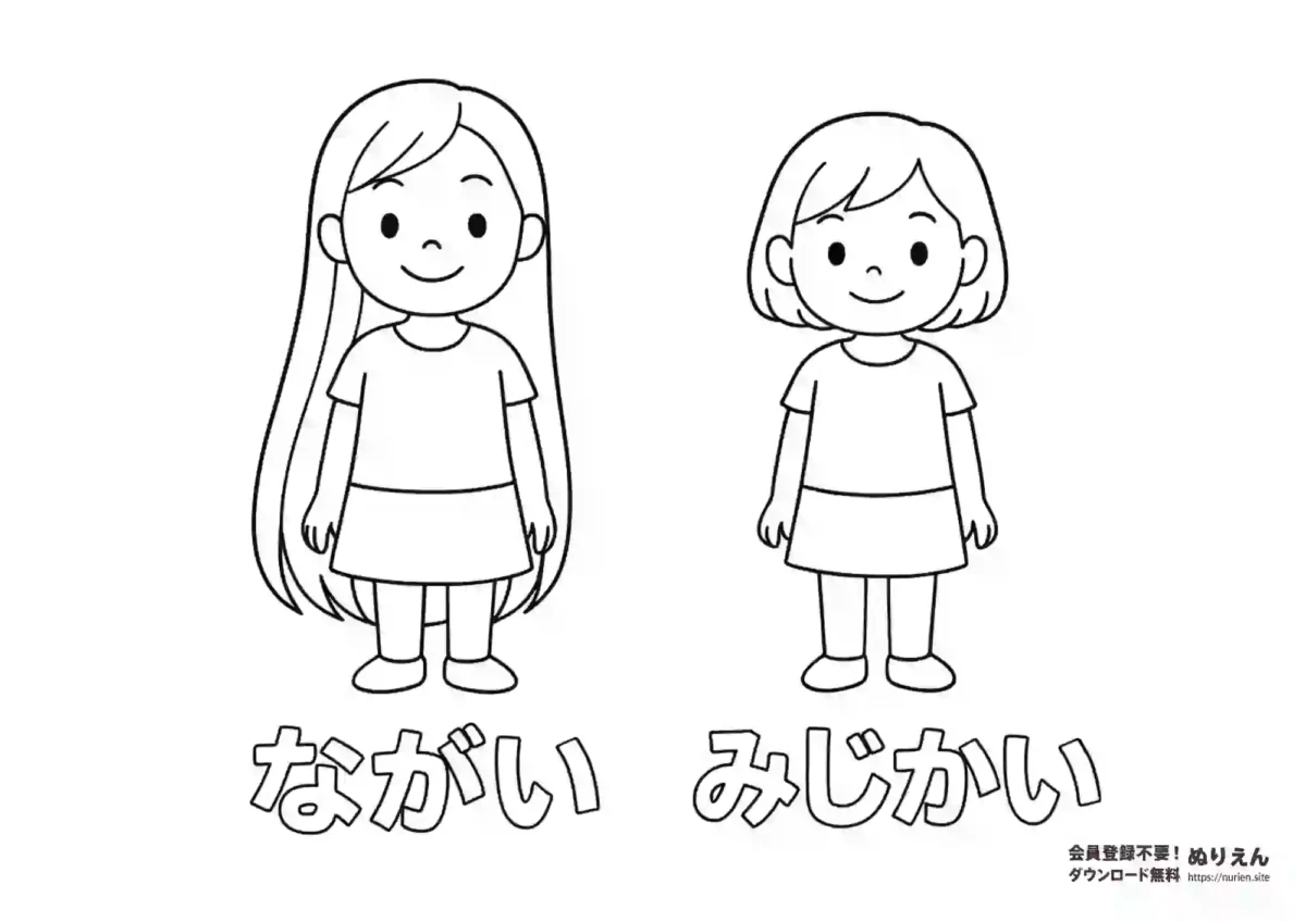 ながい髪・みじかい髪を比べられる知育ぬりえ