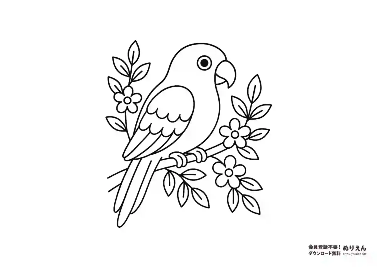 お花の枝にとまるインコのぬりえ｜自然を楽しむかわいい鳥の線画素材