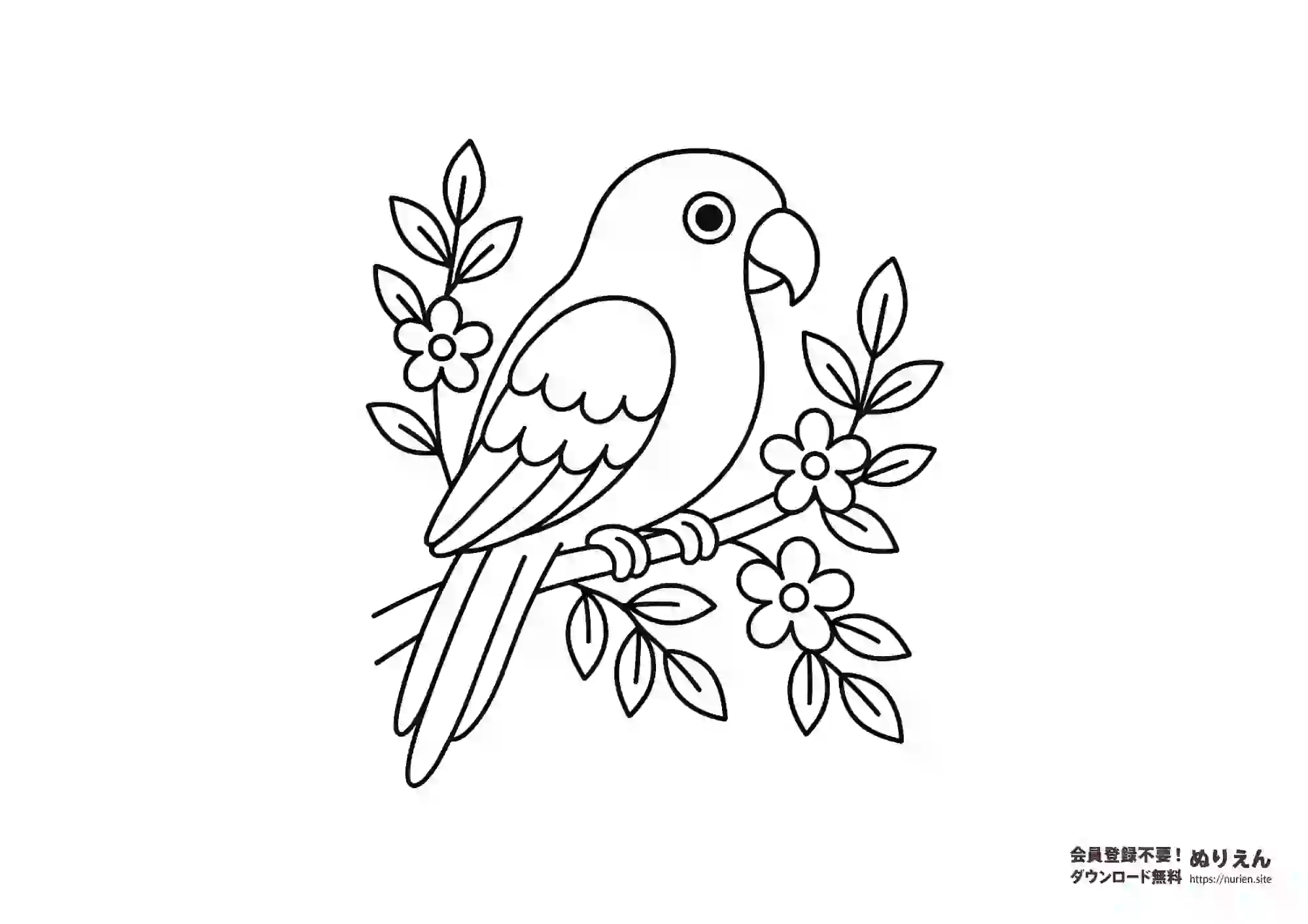 お花の枝にとまるインコのぬりえ｜自然を楽しむかわいい鳥の線画素材