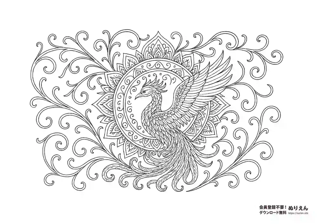 鳳凰と曼荼羅の大人向けぬりえ｜和柄の繊細な塗り絵素材