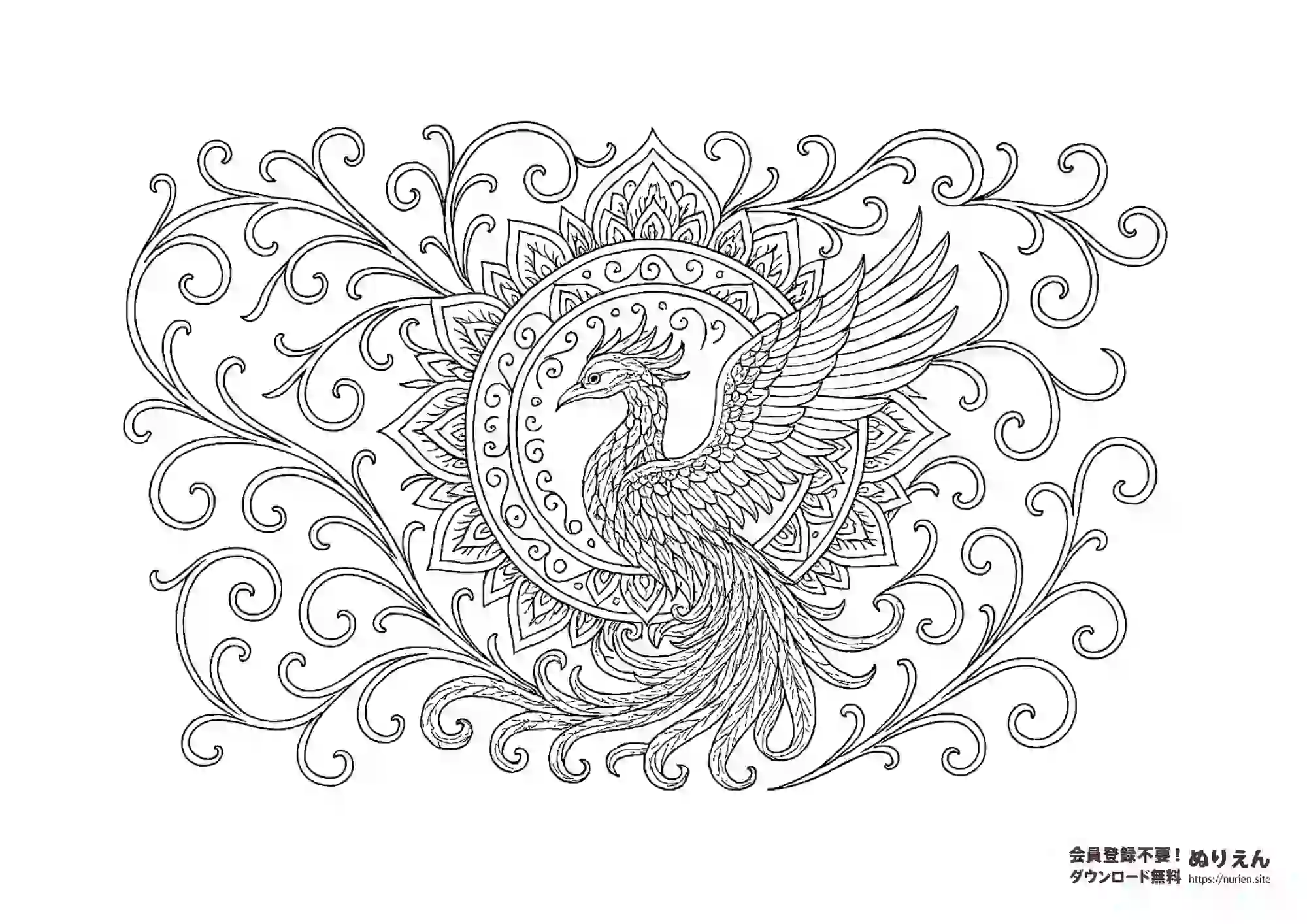 鳳凰と曼荼羅の大人向けぬりえ｜和柄の繊細な塗り絵素材