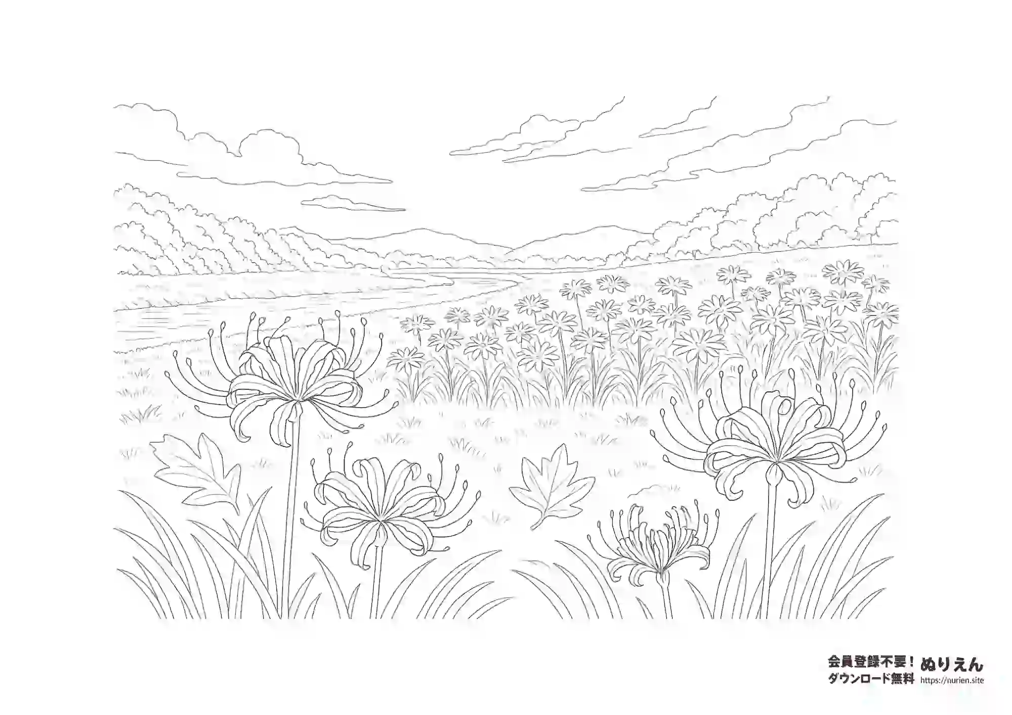 川辺に咲く彼岸花の無料ぬりえ｜秋の花と風景の塗り絵素材