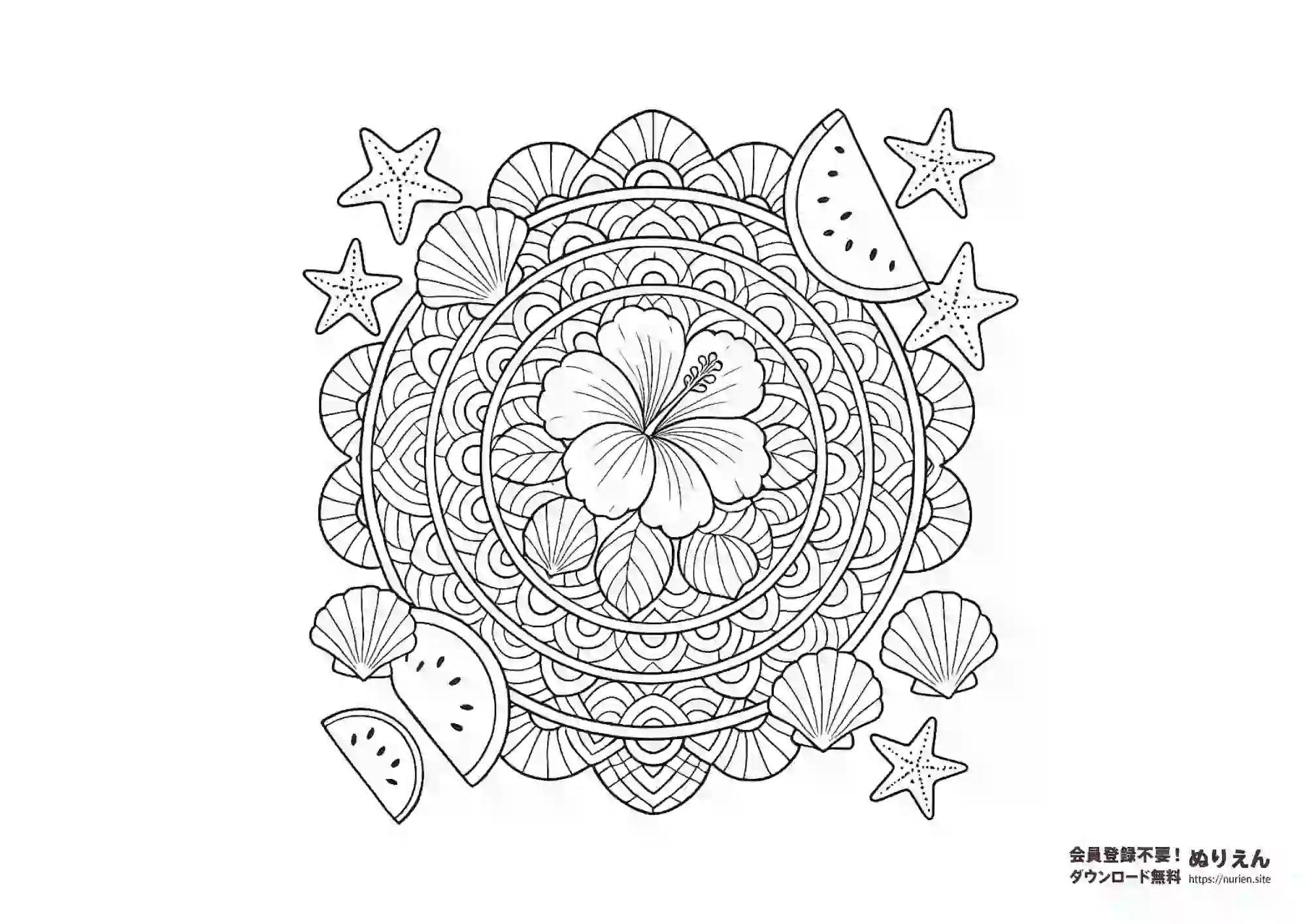 ハイビスカスと貝殻が描かれた夏の曼荼羅ぬりえ｜スイカとヒトデもある華やかな線画素材