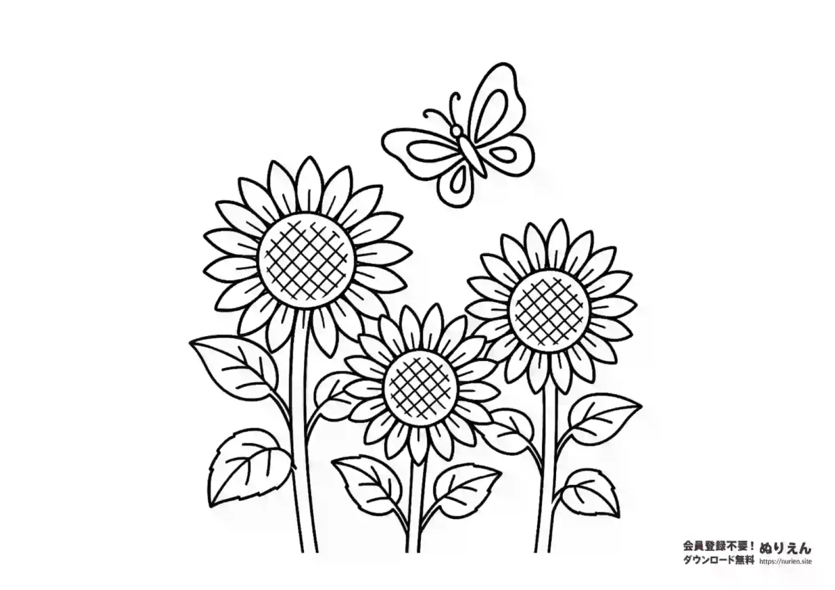 ひまわりとちょうちょのぬりえ｜夏を感じる花と昆虫の無料塗り絵