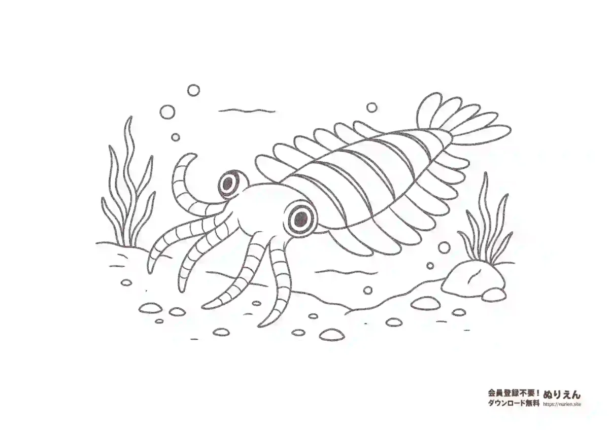 アノマロカリスのぬりえ｜カンブリア紀の海の捕食者