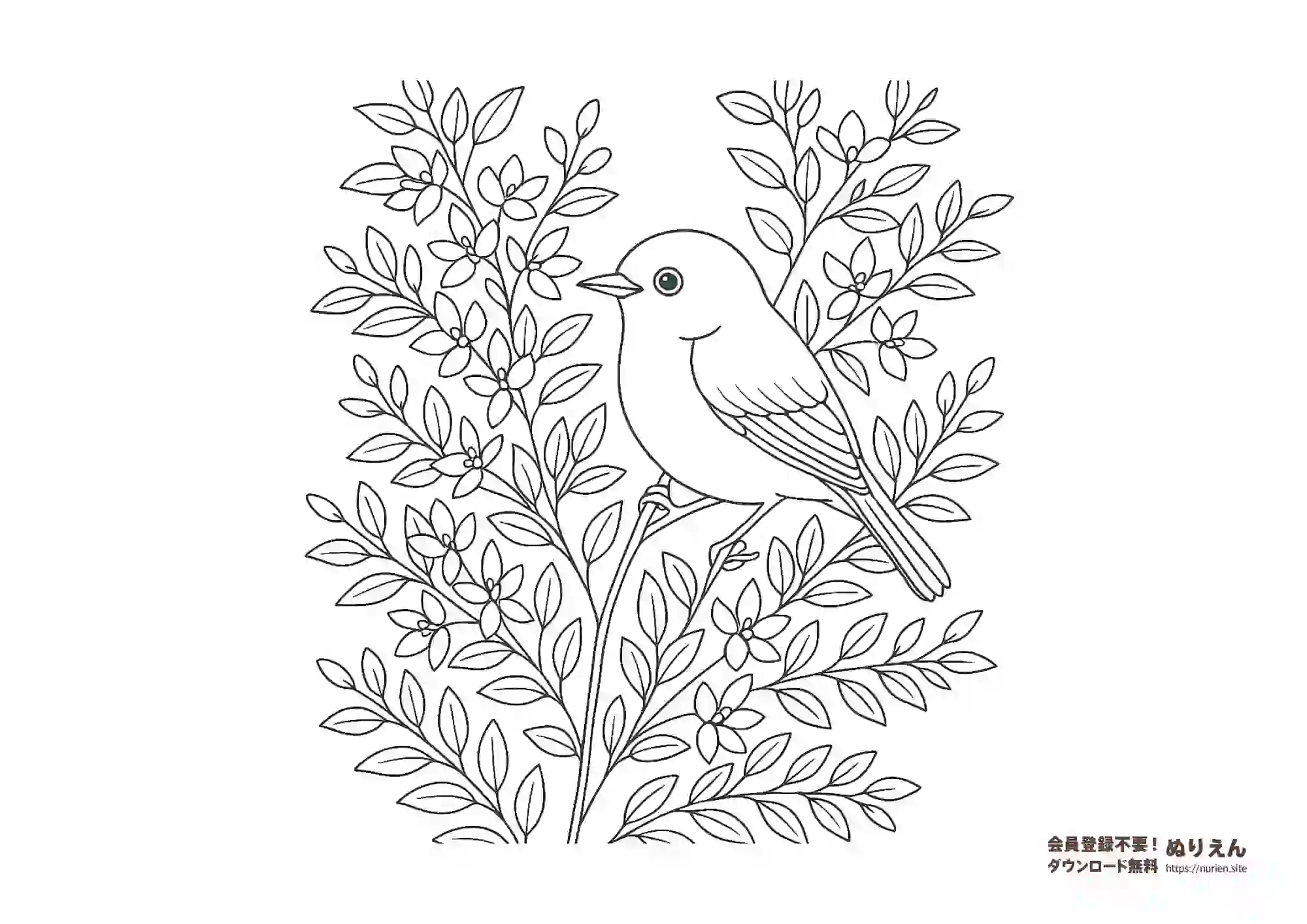 萩の花と小鳥のぬりえ｜秋を感じるかわいい塗り絵