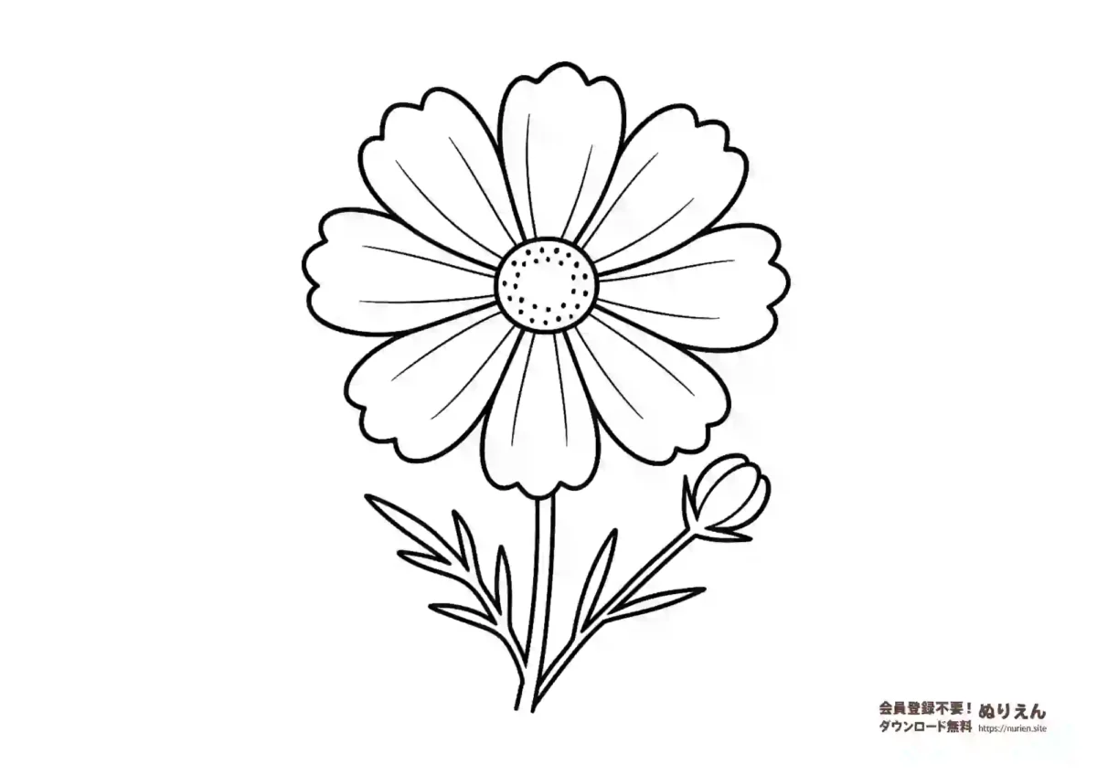 コスモスの花のぬりえ｜秋の花・簡単ぬりえ素材