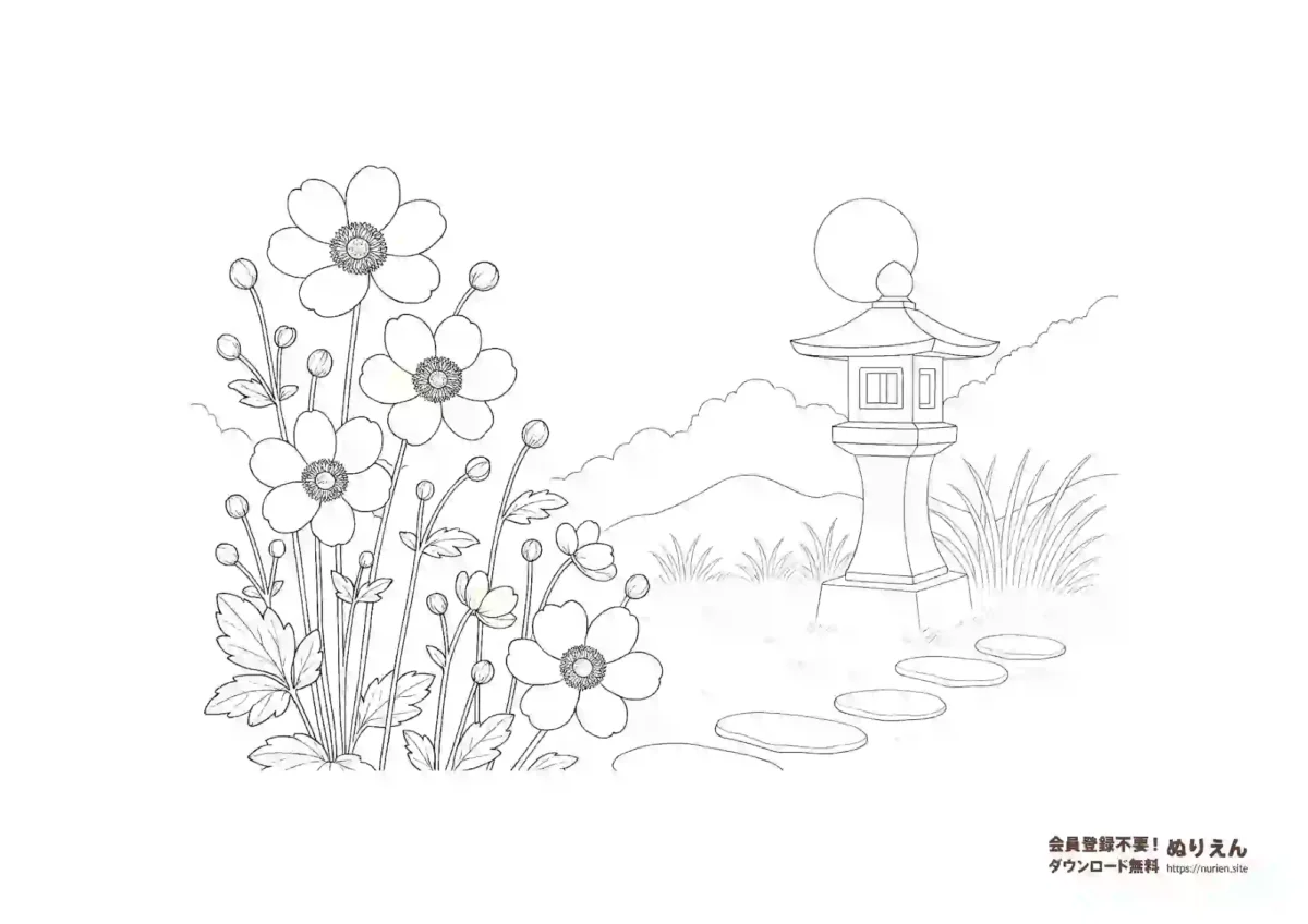 秋明菊と石灯籠の日本庭園風ぬりえ｜和風の美しい塗り絵