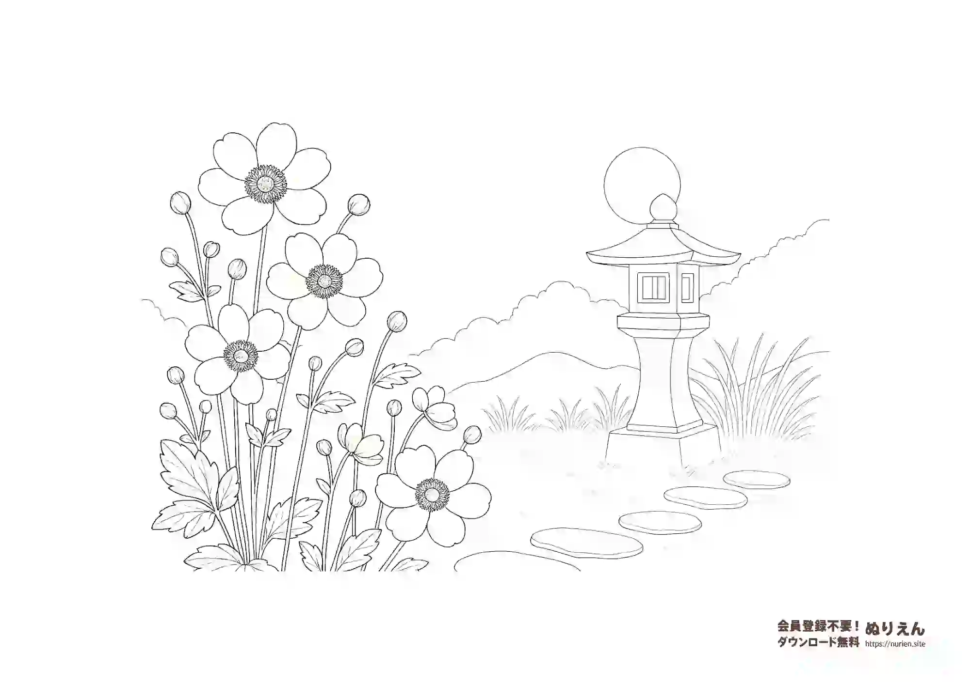 秋明菊と石灯籠の日本庭園風ぬりえ｜和風の美しい塗り絵