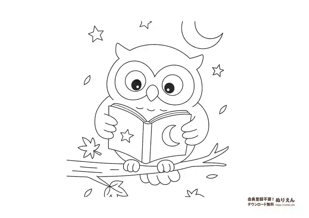 本を読むフクロウの無料ぬりえ 夜の星と月の背景