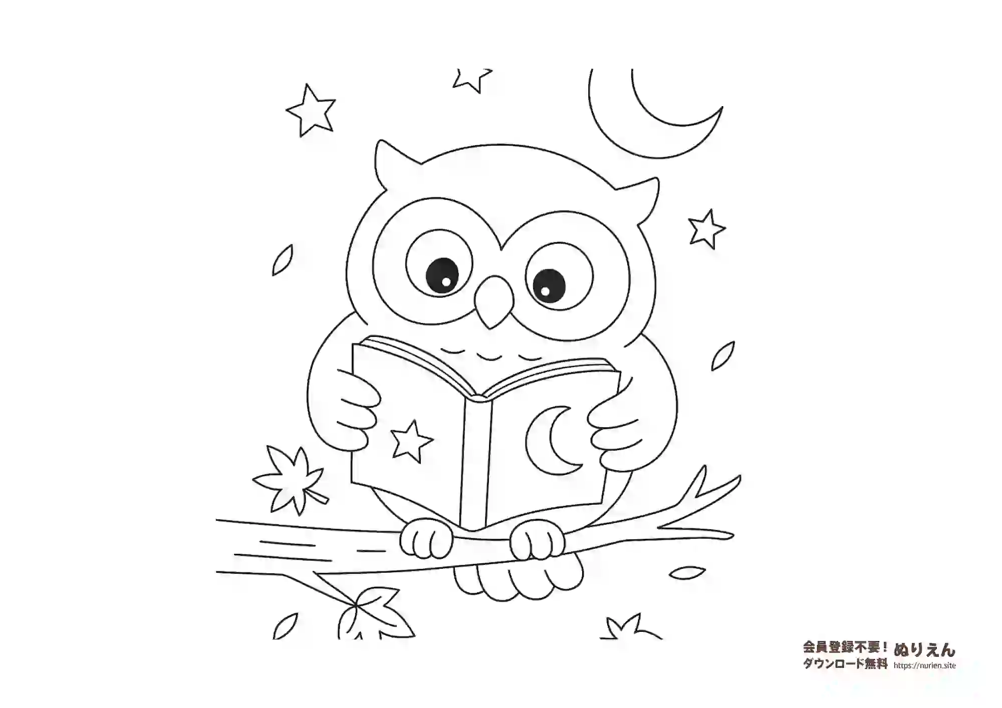 本を読むフクロウの無料ぬりえ 夜の星と月の背景