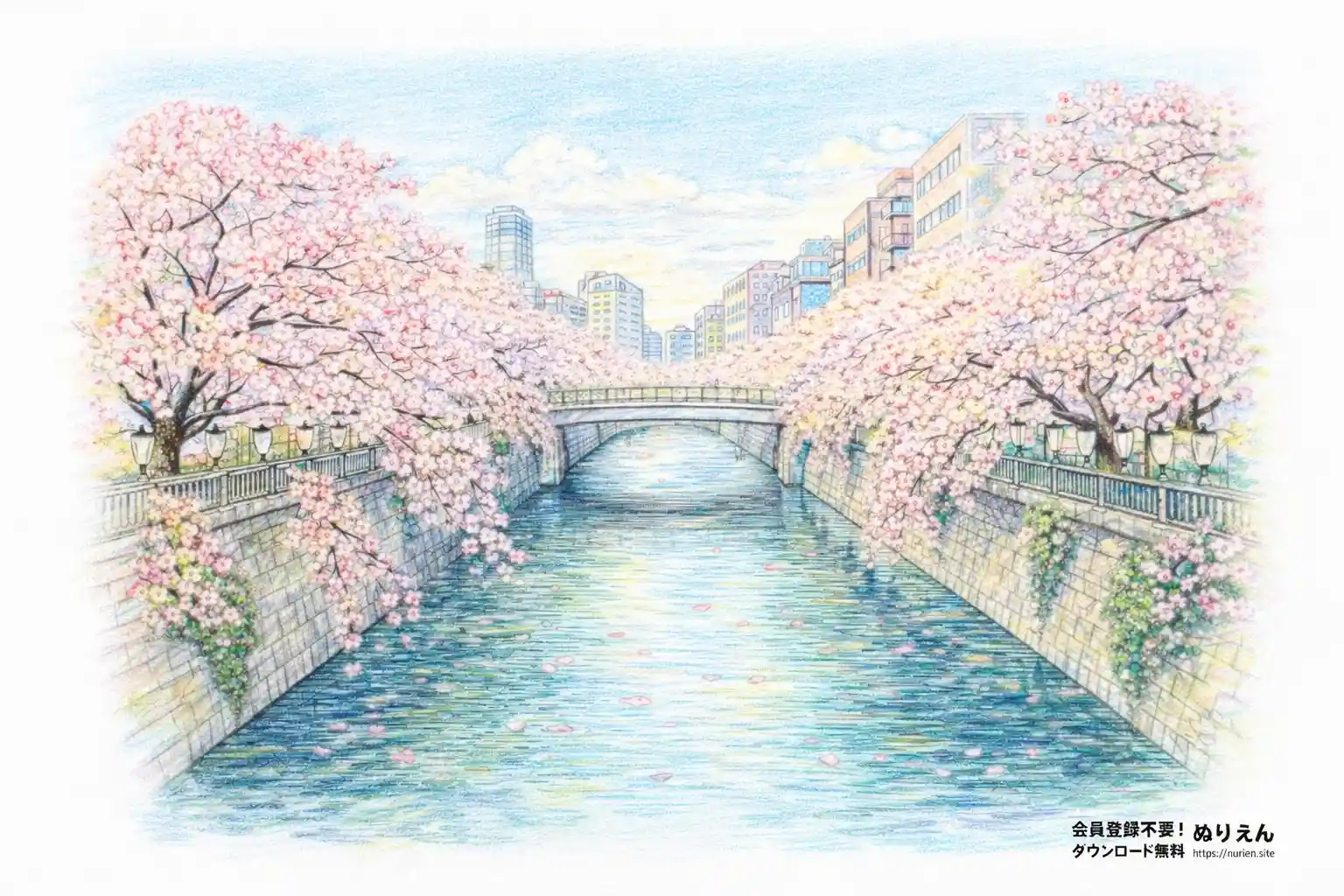 目黒川の桜