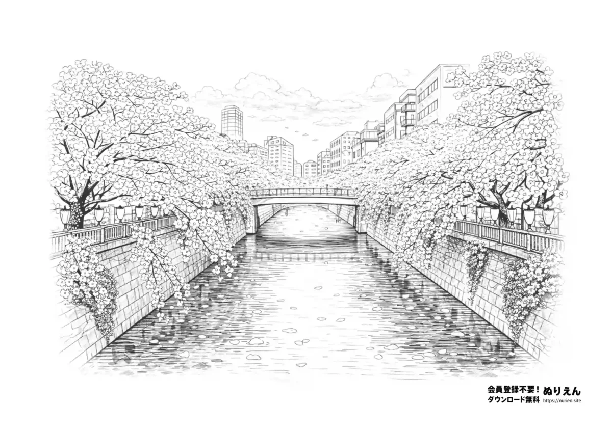 目黒川の桜並木を描いた大人向けぬりえ
