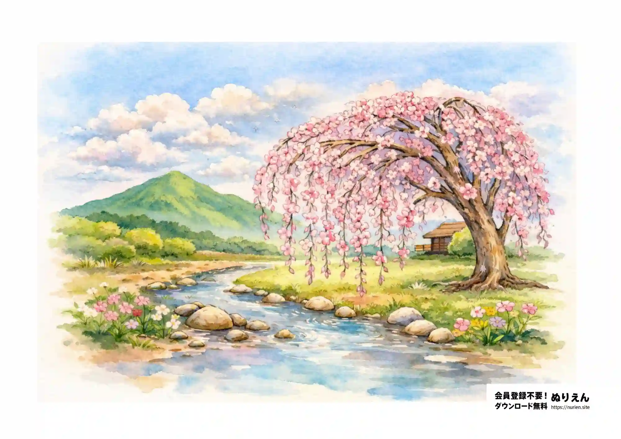 川辺に咲くしだれ桜の和風風景ぬりえ