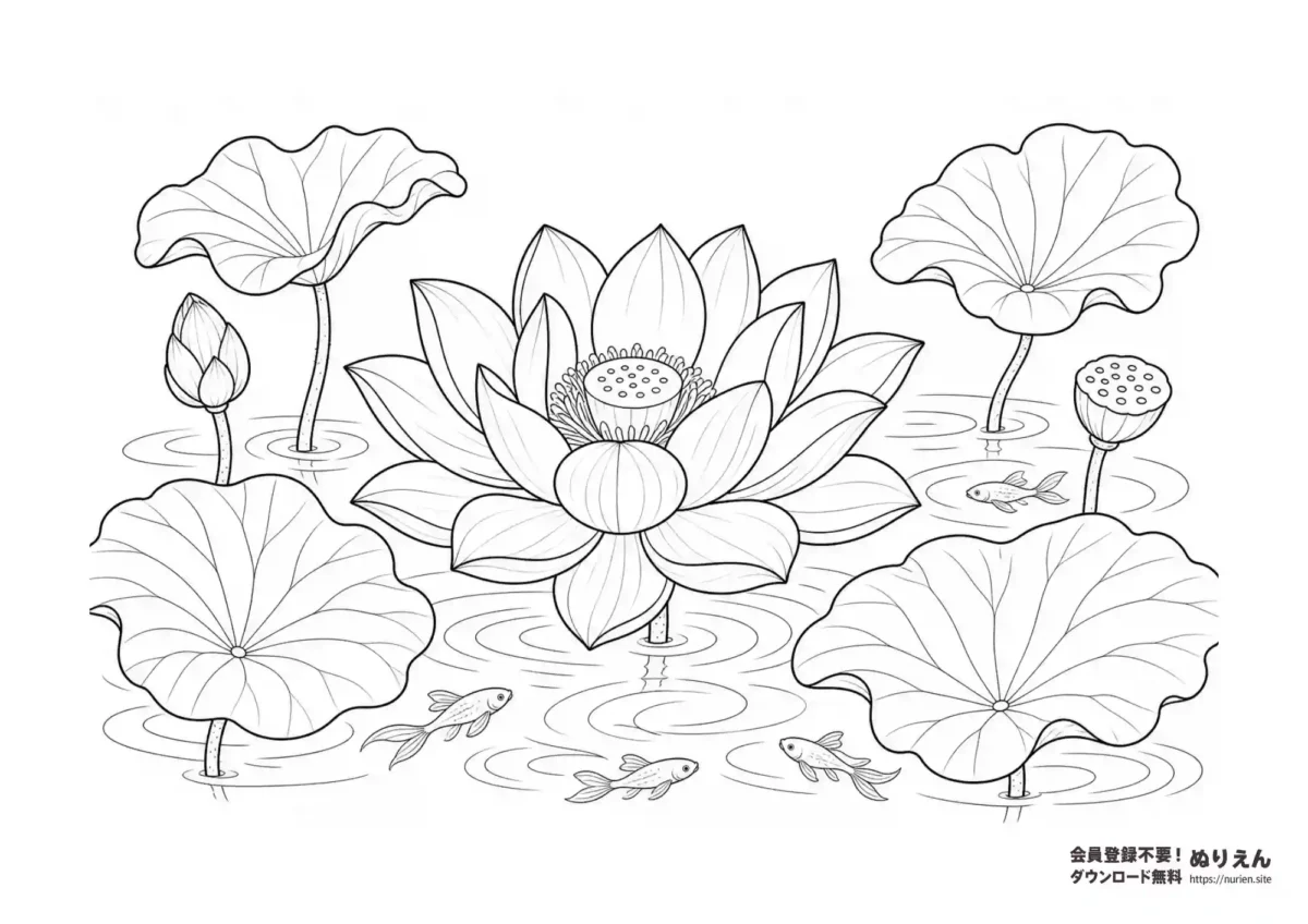 ハスの花と葉、水辺の金魚を描いた夏の花ぬりえ