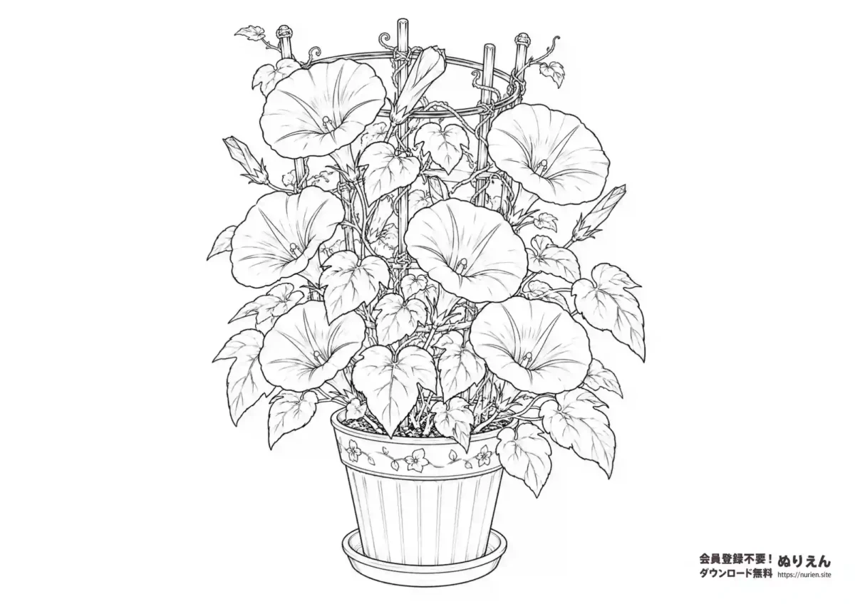 植木鉢で育つ朝顔の観察用ぬりえ(夏休み・小学生向け)